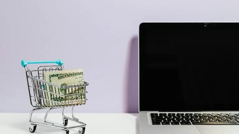 E-Commerce Apparel Brand | High Margins — Arizona